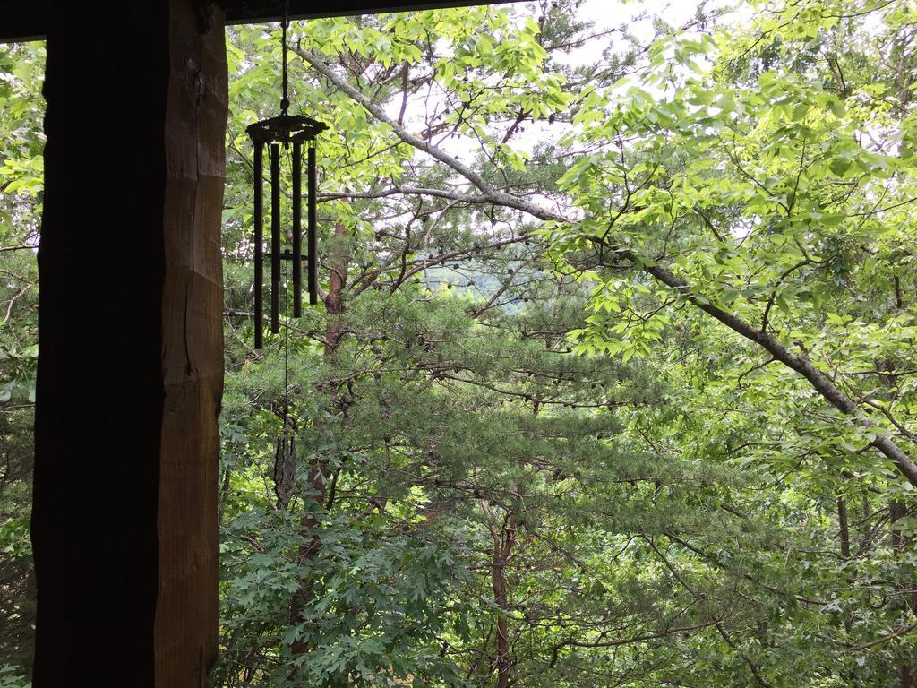 비둘기 포지 Mountain Blessings 빌라 외부 사진